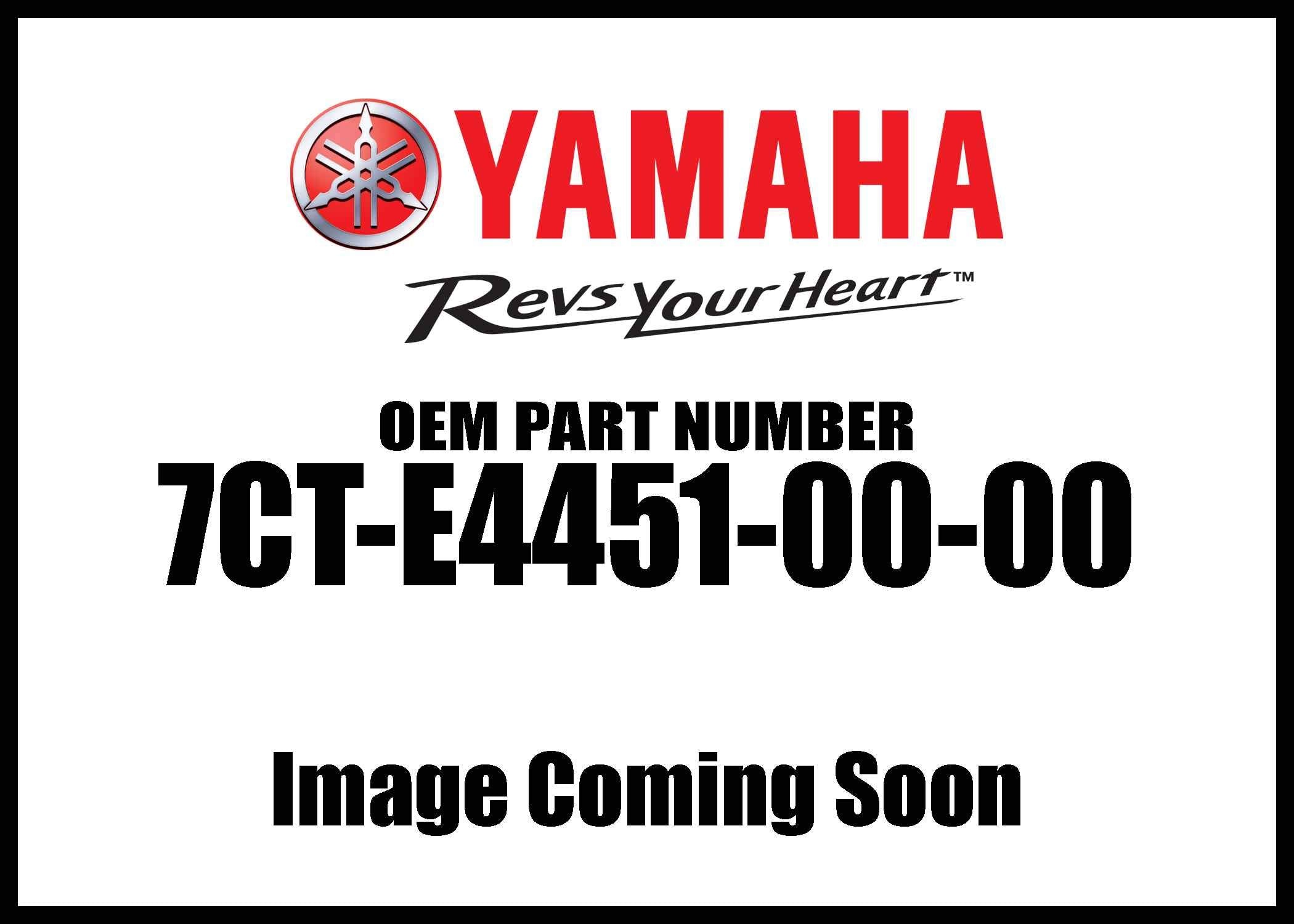Yamaha 7Ct-E4451-00-00 Element, Air Cleaner; 7Cte44510000