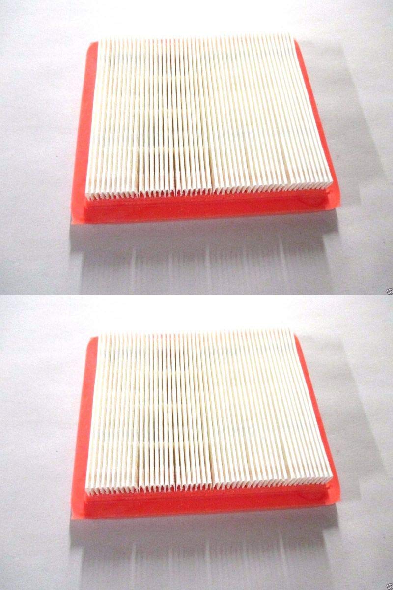 2 Pack Genuine Honda 17211-Z8B-901 Air Filter Fits Gcv160Lao Gcv190La Hrr216K9